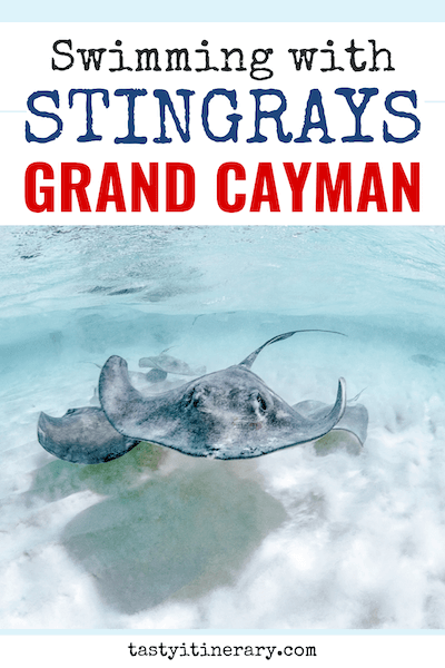 Swimming With Stingrays In Grand Cayman Tasty Itinerary