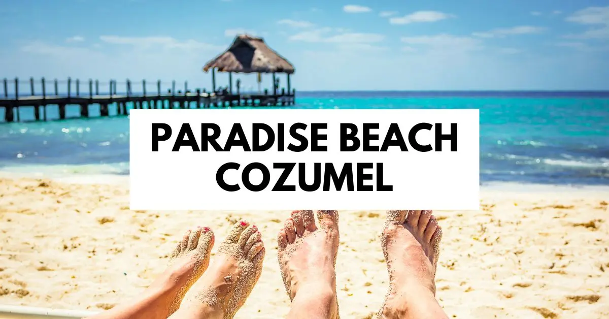 featured blog image shows a beautiful view of Paradise Beach in Cozumel, Mexico. The foreground features the sandy feet of four beachgoers relaxing on the shore, with the turquoise sea and a wooden pier with a thatched roof hut in the background. The words "PARADISE BEACH COZUMEL" are prominently displayed at the top of the image.