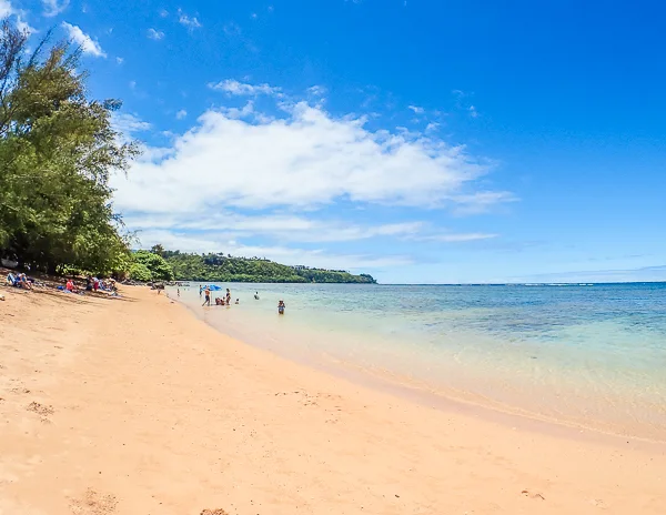 
A scenic view of Anini Beach in Kauai, featuring a wide sandy beach with people enjoying the clear, calm waters, shaded by lush greenery under a bright blue sky.