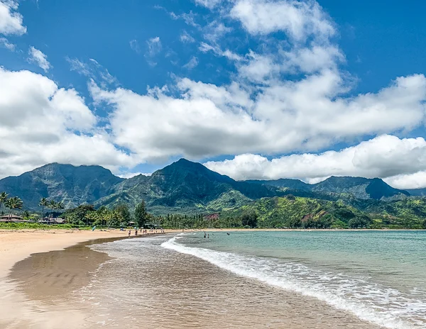 A panoramic beach view with a sweeping shoreline, clear waves, palm trees, and majestic green mountains under a cloudy sky in hanalei bay kauai