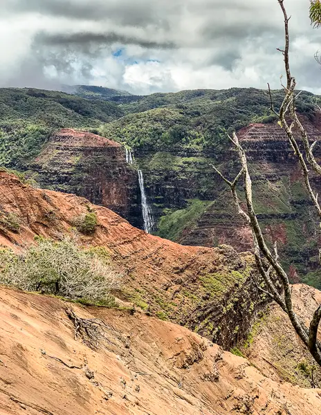 A stunning view from Waimea Canyon showing a distant waterfall cascading down through lush greenery, framed by rugged red cliffs and sparse vegetation under a cloudy sky.