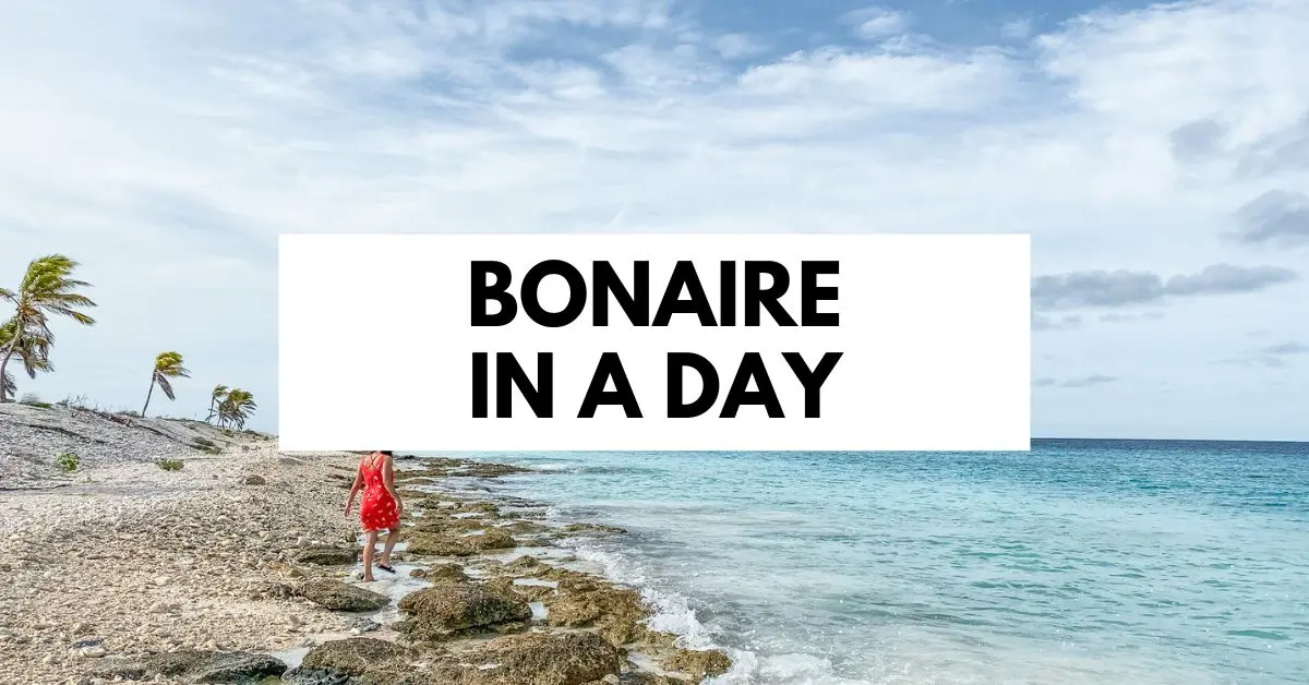  featured blog image with scenic photo titled "Bonaire in a Day" with kathy in a red dress walking near the shoreline on a rocky beach, with the ocean extending into the horizon