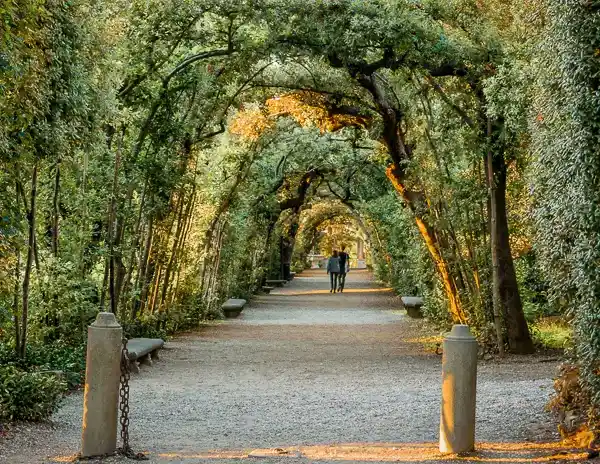 Tree-lined pathway in Boboli Gardens, Florence, Italy, with sunlight filtering through the branches.