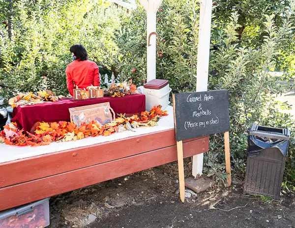 Table decorated with fall leaves and a sign for caramel apples and meatballs at Willowbrook Apple Farm.