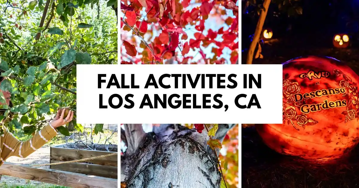 featured blog image  image features a collage of fall-themed photos, including apple picking, colorful autumn leaves, and a carved pumpkin from the Descanso Gardens event. The central text reads, "Fall Activities in Los Angeles, CA," in bold black letters on a white background