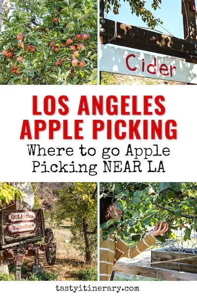 pinterest marketing pin | los angeles apple picking