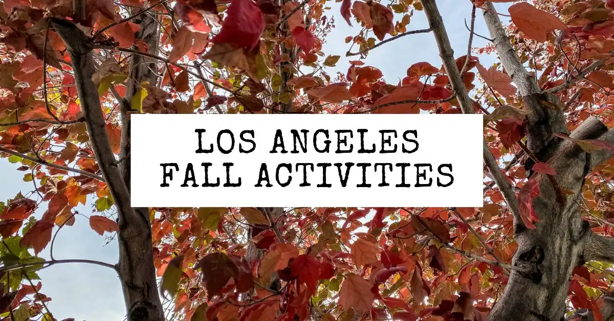 The Best Fall L.A. Events October 2022