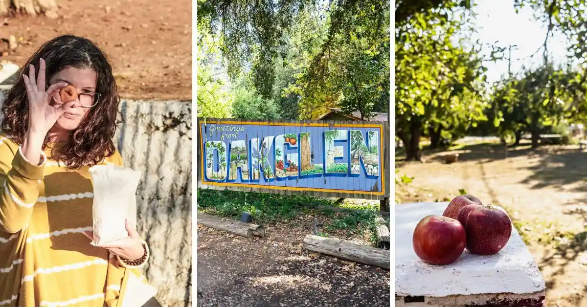Oak Glen, California in the Fall: Apple Picking and Delicious Treats