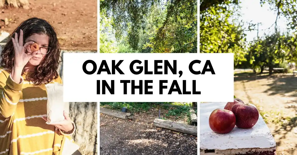 featured blog image of a collage of fall activities in Oak Glen, CA, featuring a woman holding a donut, scenic tree-lined paths, and fresh apples. Text reads: "Oak Glen, CA in the Fall."