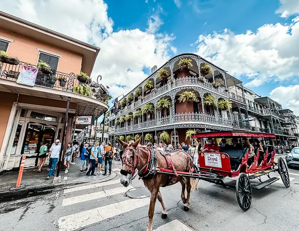 Carriage ride passing by the historic LaBranche House in the French Quarter of New Orleans, featuring its iconic iron-lace balconies adorned with hanging ferns.