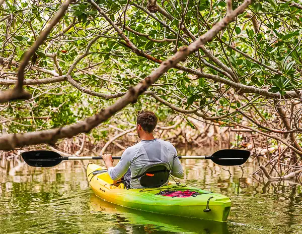 Kayaking through the mangroves in Islamorada, Florida – a man paddles a green kayak under lush mangrove branches, showcasing the natural beauty of the Florida Keys.