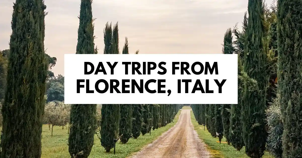 featured blog image: A scenic road lined with tall cypress trees in the Tuscan countryside, with the text 'Day Trips from Florence, Italy' overlaid in bold.