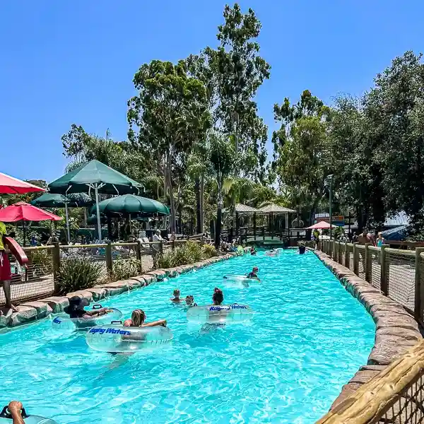 Visitors relaxing in inner tubes on the lazy river at Raging Waters, surrounded by tall, lush palm trees and shaded areas.