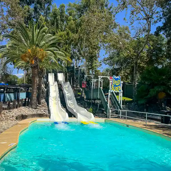 Speed Slides at Raging Waters: Two tall slides descending into a bright blue pool, framed by lush palm trees.