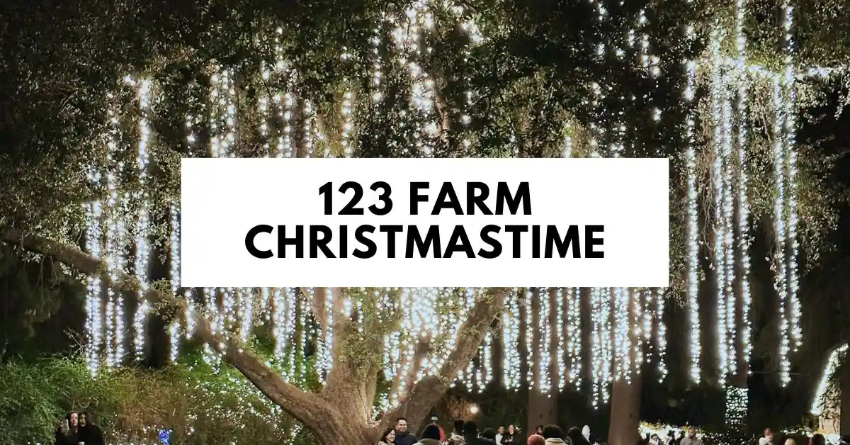 featured blog image: A glowing oak tree decorated with hanging strings of white lights at 123 Farm during Christmastime, with people walking beneath the tree and enjoying the festive atmosphere.