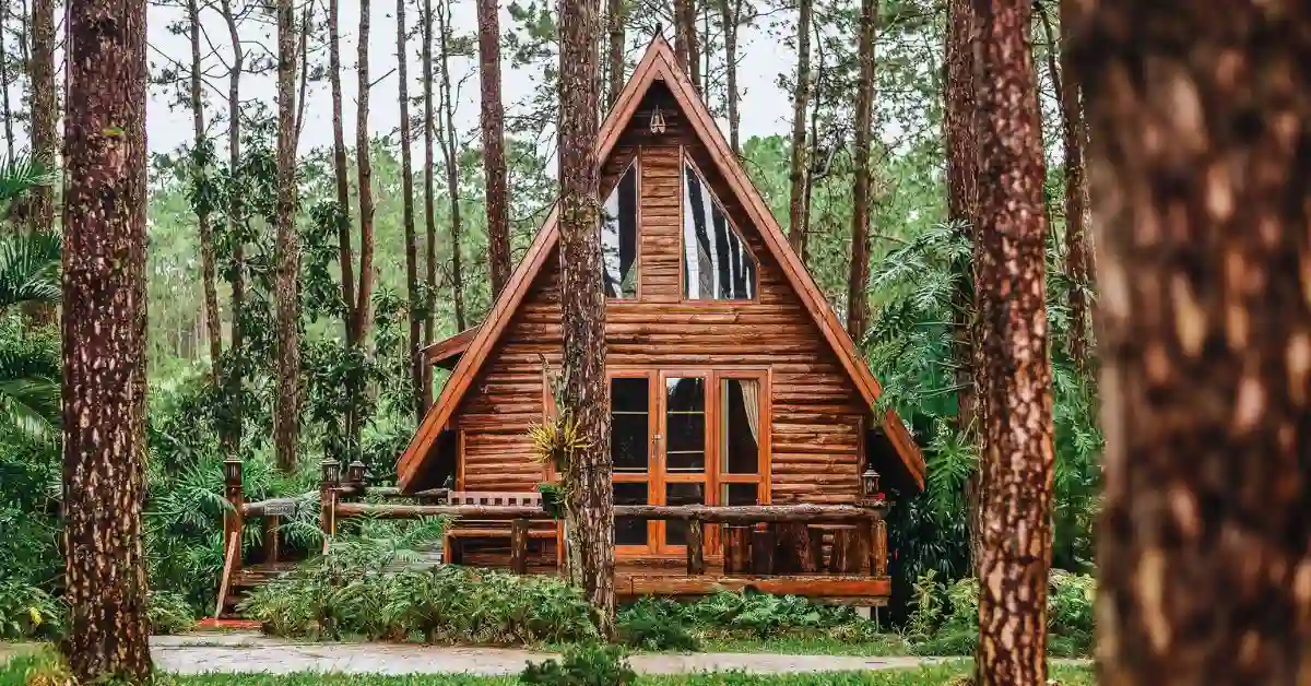 Featured image of a rustic cabin in the woods that will lead to the pros and cons of Airbnb.