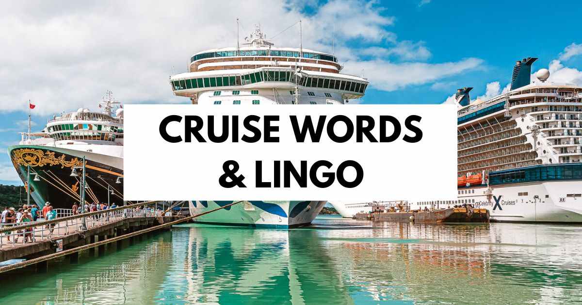 cruise in english language