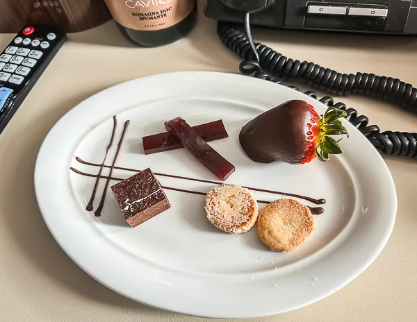 white plate of elegant sweet treats, including a chocolate-covered strawberry, several pieces of chocolate, and two round, sugar-dusted cookies, artistically presented with chocolate drizzle.