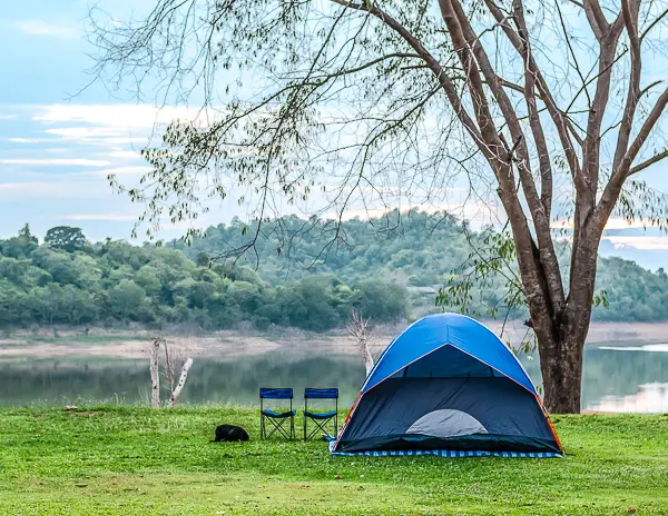 a peaceful camping scene with a blue tent set up near a lake surrounded by lush greenery and trees