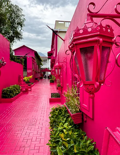 Pink Street in Puerto Plata with pink lanterns and planters along the walls.