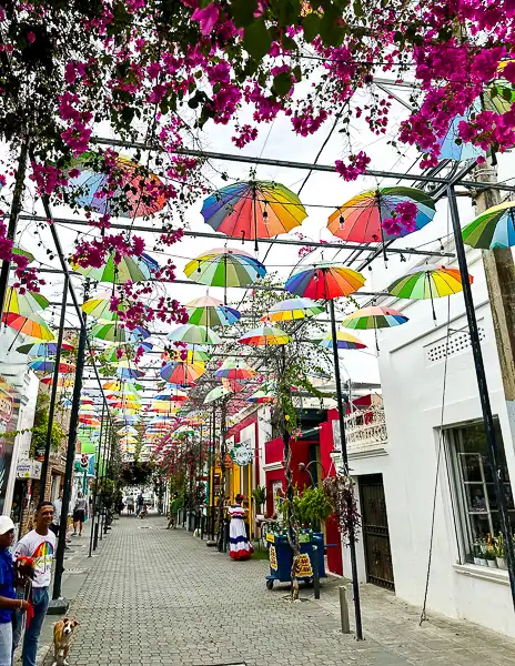 Colorful umbrellas hanging over in "Umbrella street " in Puerto Plata, with people walking and flowers in bloom.