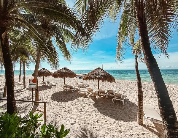 Beach loungers and palapa umbrellas on the white sand at Nachi Cocom Beach Club in Cozumel, surrounded by palm trees with a view of the turquoise ocean.